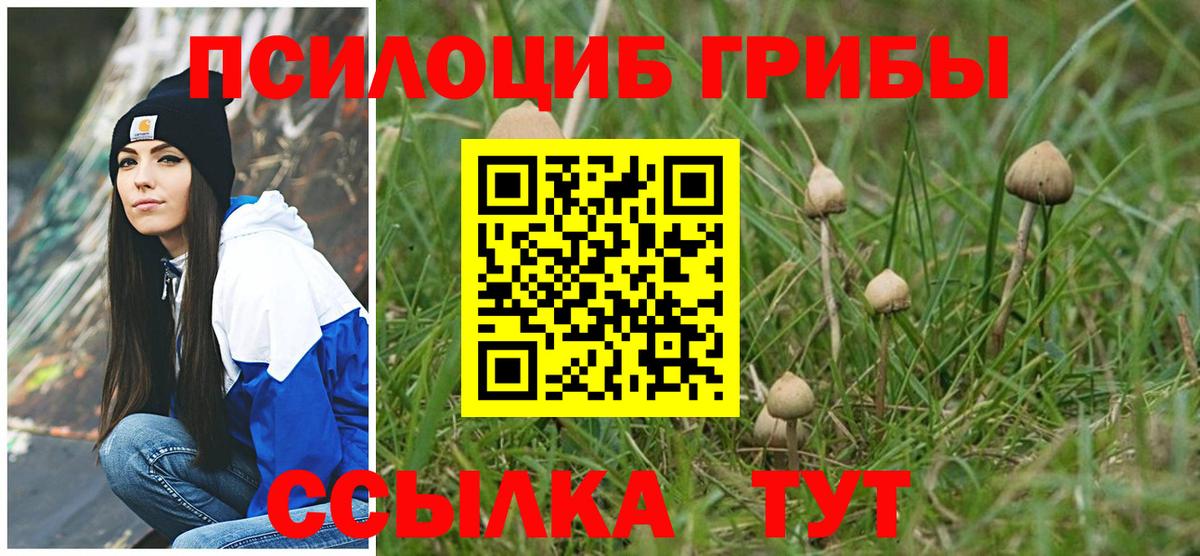 Бердск  Псилоцибиновые грибы мицелий  Вход с VPN 