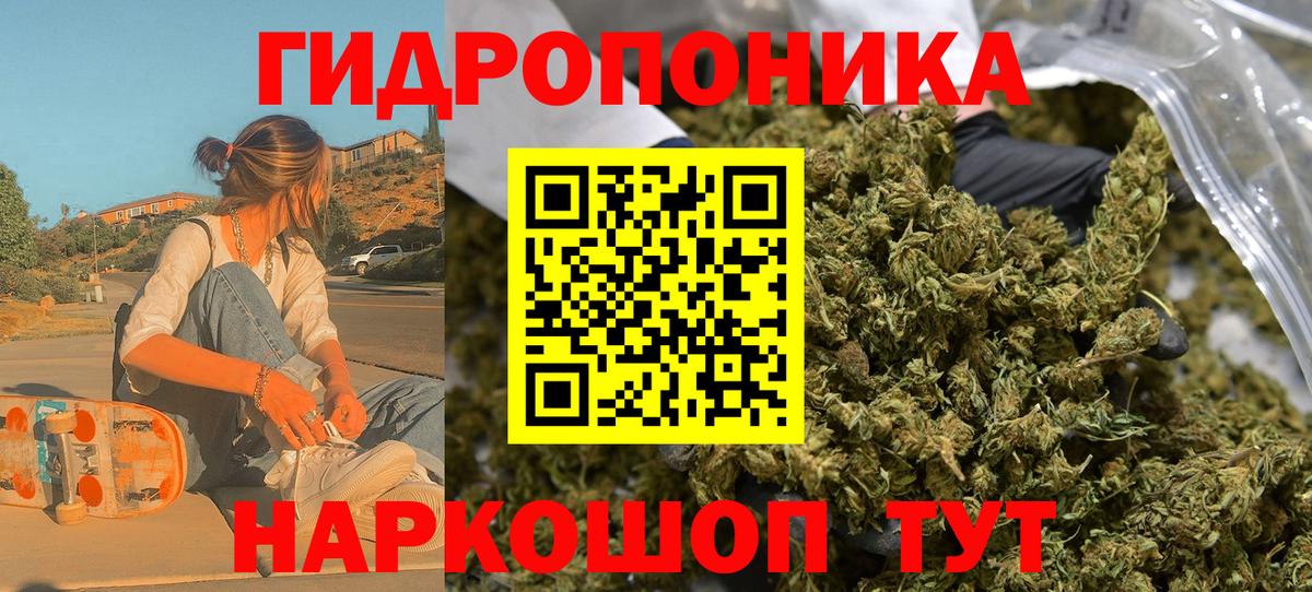Бошки Шишки план  Каннабис тримм  Бердск  Каннабис Ganja  Вход с VPN 